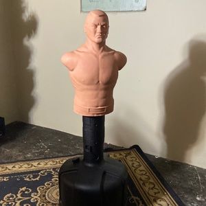 Punching bob